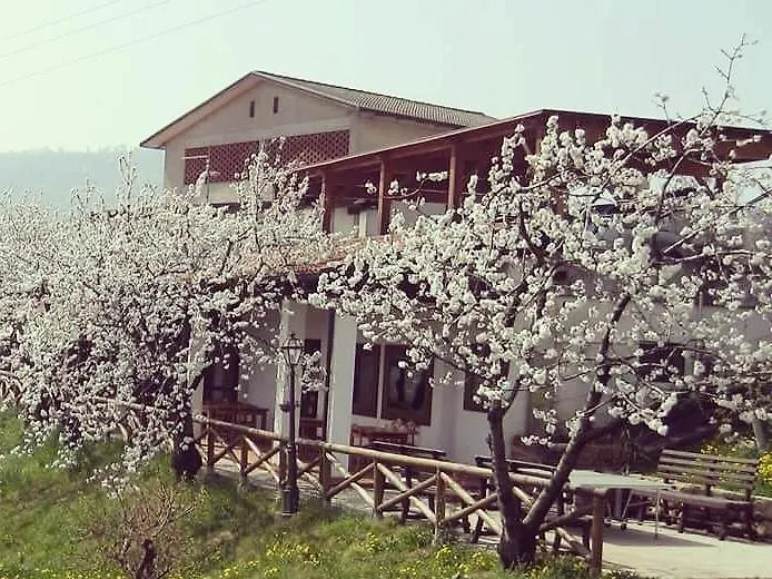 Agriturismo Al Ciliegio Villa Marostica Italy